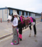 2006-Kristina-Spitale-Reno-2