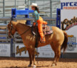 2010-Lauren-Neil-MRN-2010-Pageant-Horsemanship-28
