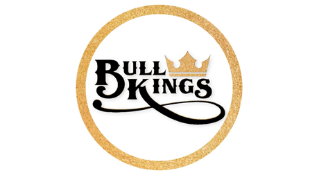 Bull Kings LOGO White BG 460x253