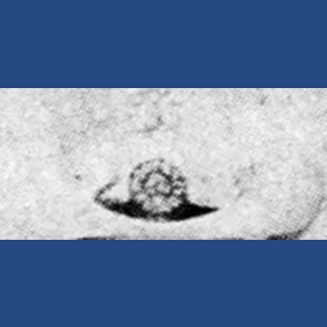 MRN Crown 1957 - 1968 ?